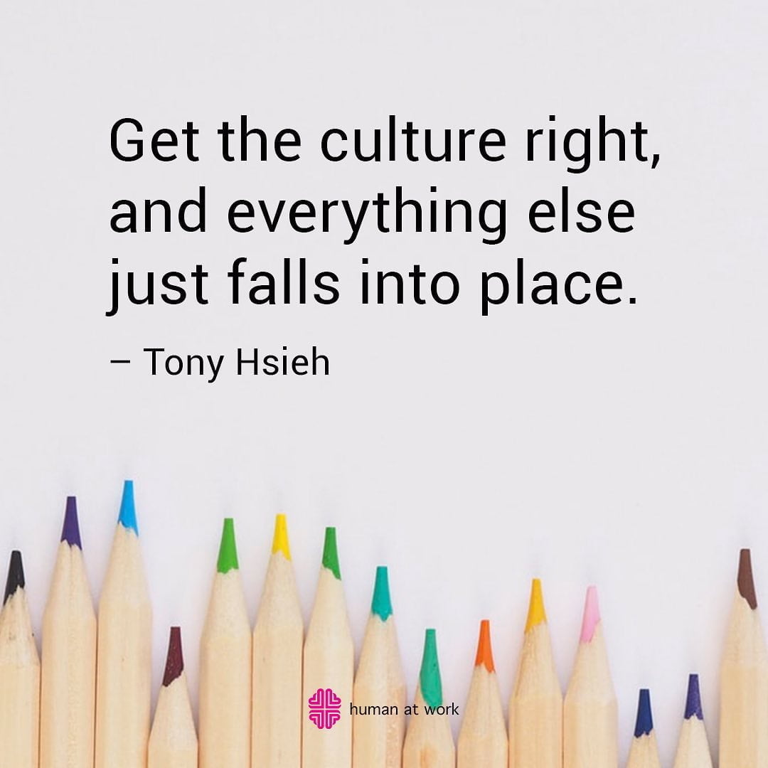 culture right tony hsieh quote