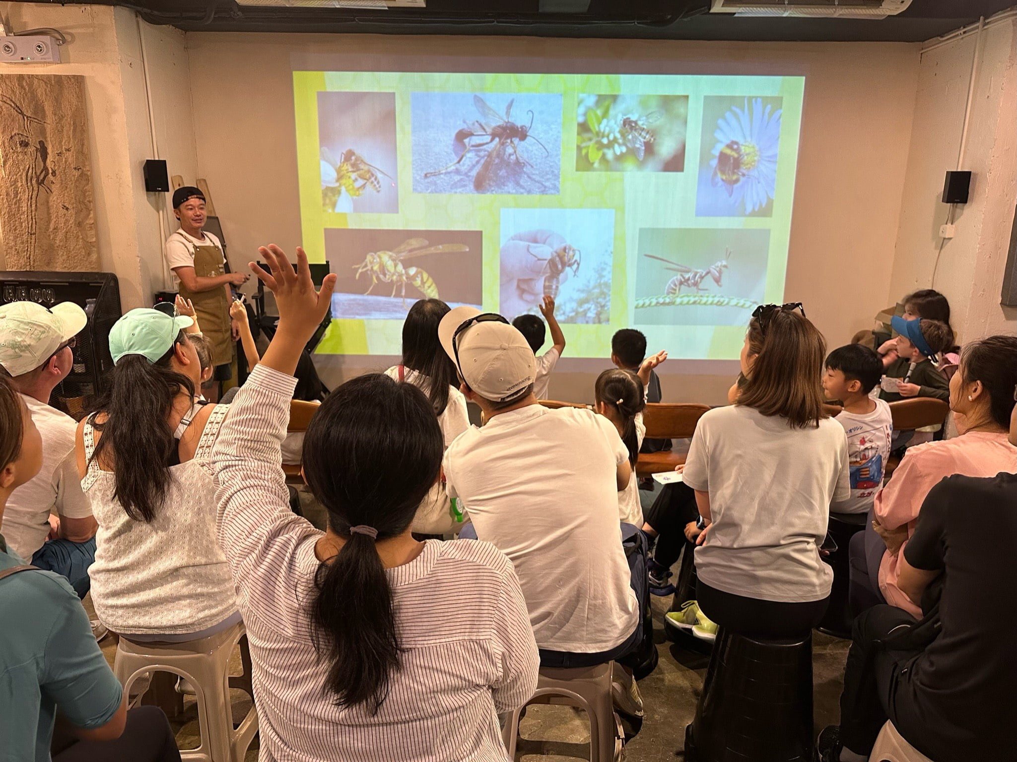 Education on bees