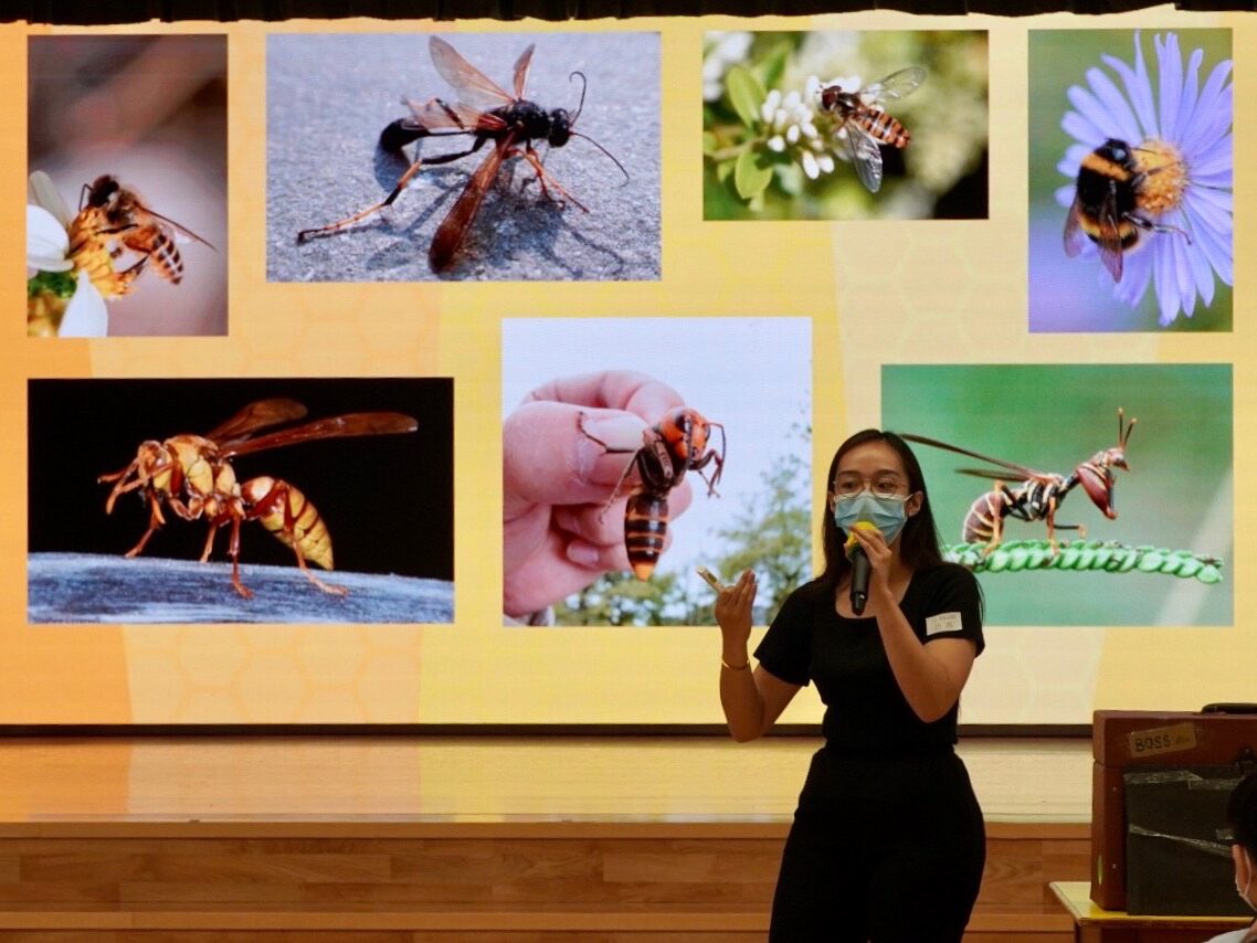 Jill presenting the role of bees